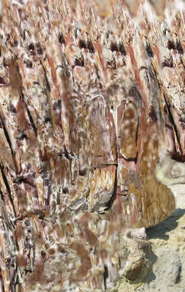 Souvenirs d'ailleurs 2